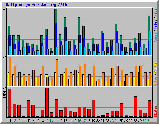 Daily usage for January 2010