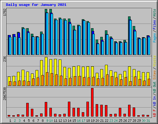 Daily usage for January 2021