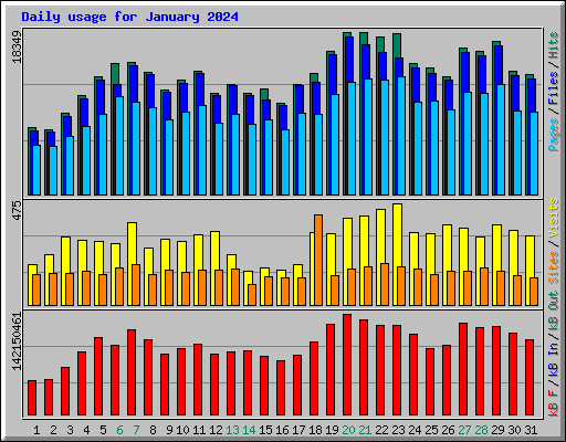 Daily usage for January 2024