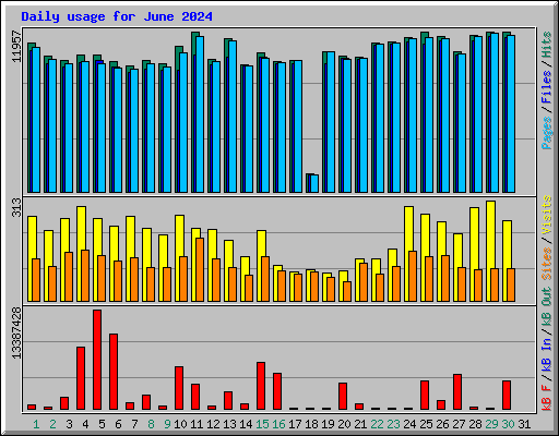 Daily usage for June 2024