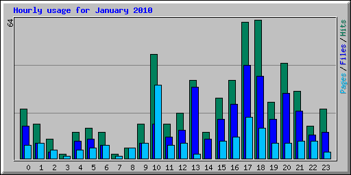 Hourly usage for January 2010