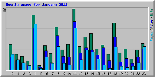 Hourly usage for January 2011