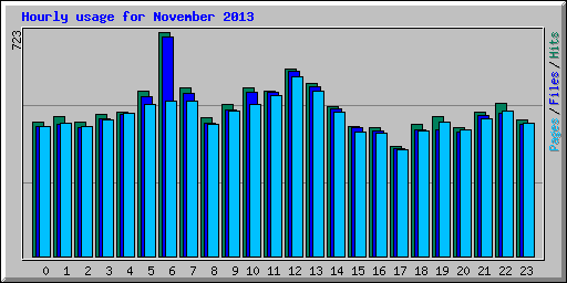 Hourly usage for November 2013