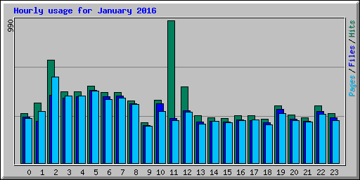 Hourly usage for January 2016