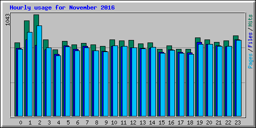 Hourly usage for November 2016