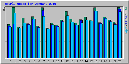 Hourly usage for January 2019