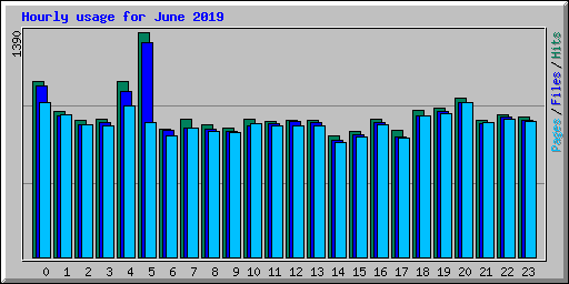 Hourly usage for June 2019