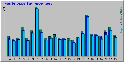 Hourly usage for August 2019