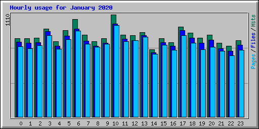 Hourly usage for January 2020