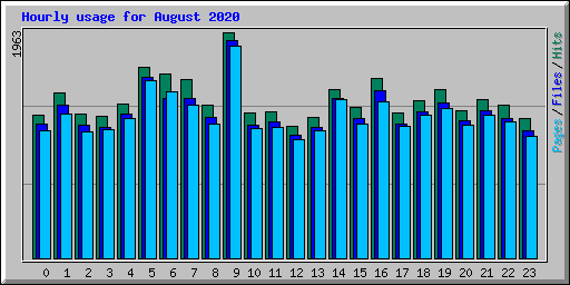 Hourly usage for August 2020