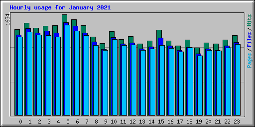 Hourly usage for January 2021