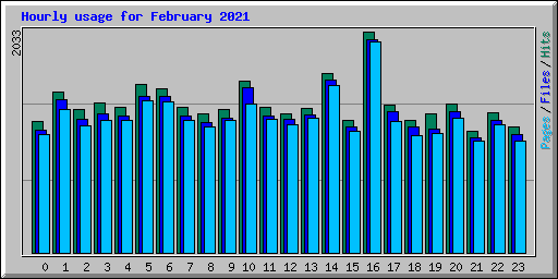 Hourly usage for February 2021