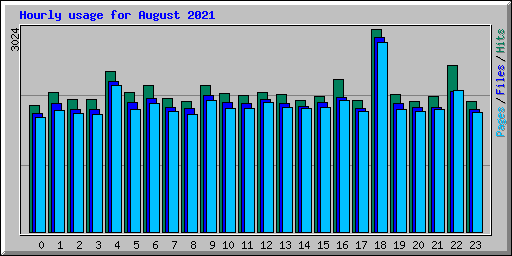 Hourly usage for August 2021