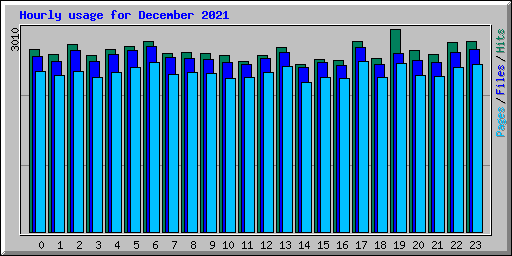 Hourly usage for December 2021