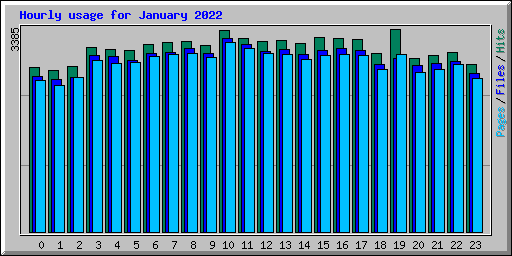 Hourly usage for January 2022