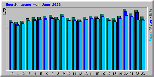 Hourly usage for June 2022