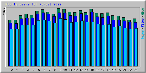 Hourly usage for August 2022