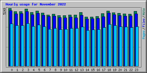 Hourly usage for November 2022