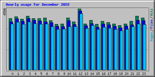 Hourly usage for December 2022