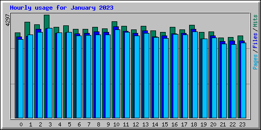 Hourly usage for January 2023