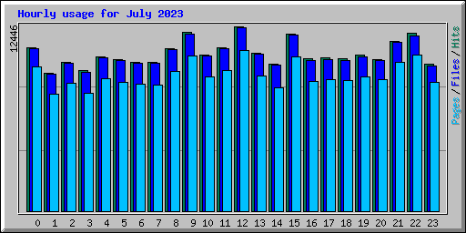 Hourly usage for July 2023