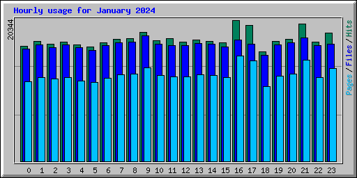 Hourly usage for January 2024