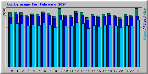 Hourly usage for February 2024