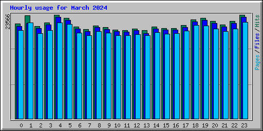 Hourly usage for March 2024