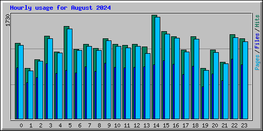 Hourly usage for August 2024