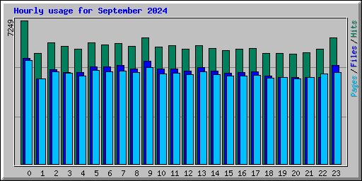 Hourly usage for September 2024