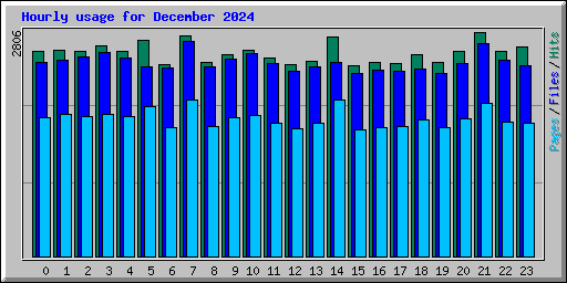 Hourly usage for December 2024