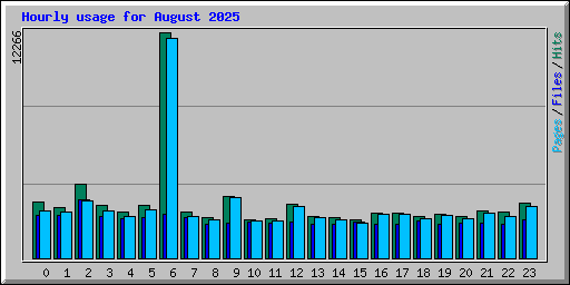 Hourly usage for August 2025