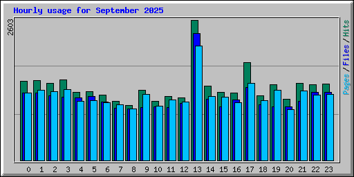 Hourly usage for September 2025