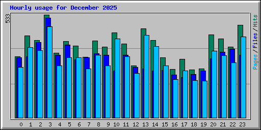 Hourly usage for December 2025
